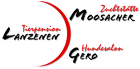 hundesalon gero haeberli interlaken co72 140