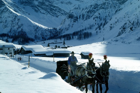 kutschen schlittenfahrten mueller davos co72