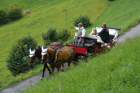 kutschenerlebnis zimmermann weggis co72